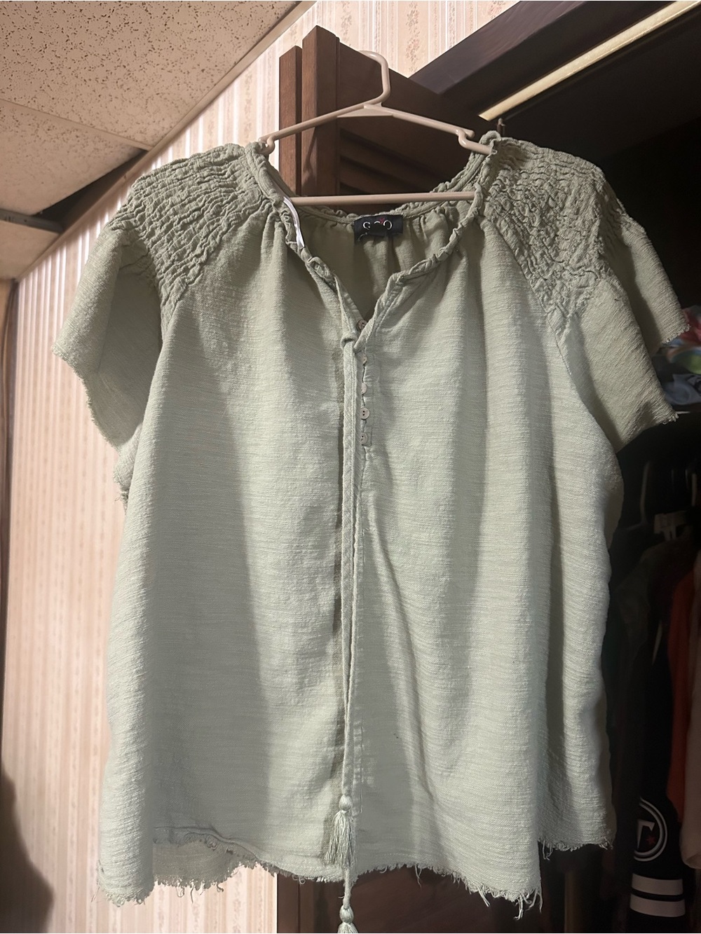 Light Sage Short-Sleeve Peasant Blouse with Tasseled Tie